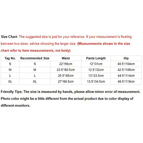 Shinsto Womens Lace Trim Layered Ruffle Bloomers Shorts Pumpkin Pants Pettipants White Small #TOP5