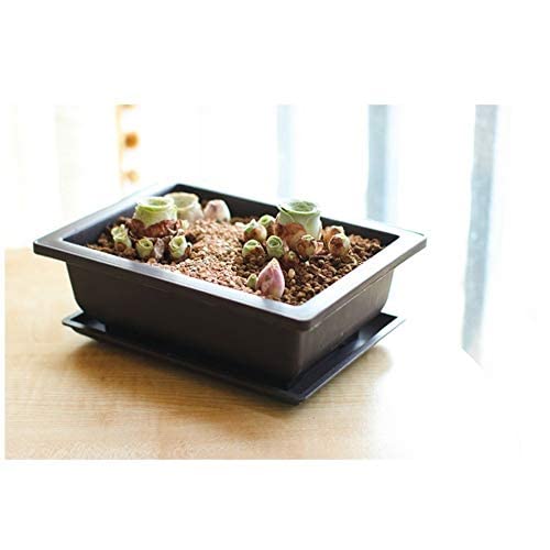 3 Pieces Rectangle Plant Pot, Plastic Bonsai Training Pots - Image 3
