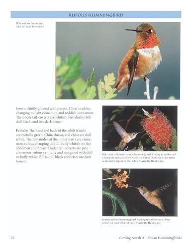 Carving North American Hummingbirds & Their Habitat: Includes: Special Habitat Carving and Construction Details - Image 3