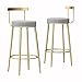 Yinghesheng Sgabelli da Bar Rotondi Set di 2 sedie da Bar con Schienale in Metallo Dorato con Gamba in Velluto Cuscino Sgabello Alto per Soggiorno, Sala da Pranzo, Cucina
