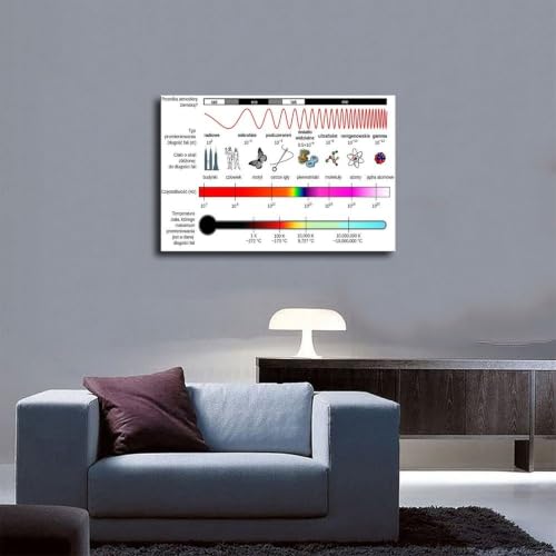 Spectre électromagnétique affiche WCYB toile éducative 30x45 - 5