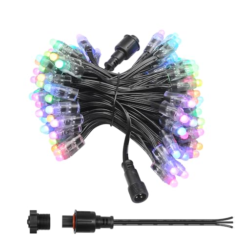 WS2811 24V RGB Pixel Lights 100pcs IP68 Outdoor