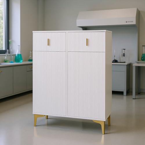 HOMYLIN Armario de almacenamiento de laboratorio con cajones y espacio para estantes, organizador de suministros de laboratorio de ciencias, color blanco