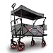 Fuxtec carrello pieghevole, l'originale, Fux Family Collection, carrello da giardino per trasporto bambini, tirare o spingere, capacità di carico 75 kg - estensione interna - borsa posteriore CT850