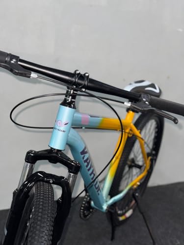 Image of Single Speed 26T Mountain Bicycle for Adults (18 Inch Steel Frame, Dual Disc Brakes, Alloy Rims, 26x2.40 Wide Tyres, Front Suspension, Mudguards & Side Stand, Unisex City & Trail MTB, Orange /Blue)