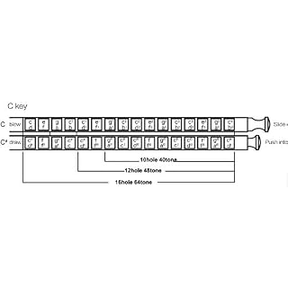 East top Harmonica adulte chromatique professionnel 16 trous 64 tons en Do, harmonica chromatique 16 trous Instrument… - Les Beatles, Paul McCartney, John Lennon, RIngo Starr, George Harrison East top Harmonica adulte chromatique professionnel 16 trous 64 tons en Do, harmonica chromatique 16 trous Instrument… – Image 6