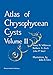 Atlas of Chrysophycean Cysts: Volume II (Developments in Hydrobiology, 157) - Wilkinson, A.N. Zeeb, Barbara A. Smol, John P.