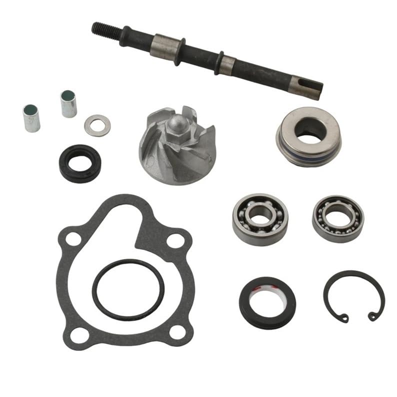 Zestaw naprawczy pompy wodnej do BW Gran Dink 125cc 150cc Dink Classic 200