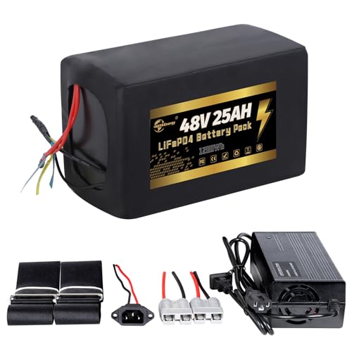 HAYAEnergy 48V E-Bike LiFePO4 Battery, 25Ah LiFePO4 Lithium Battery Pack