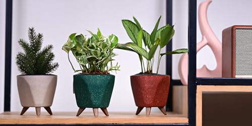 Image of Harshdeep Self Watering Pot - Lagos Eco - Indoor Home Living Room Office Tabletop Decorative Earth Friendly Planter, Made of Bamboo, Rice Husk, 5 Inch Set of 5 (Multicolor)