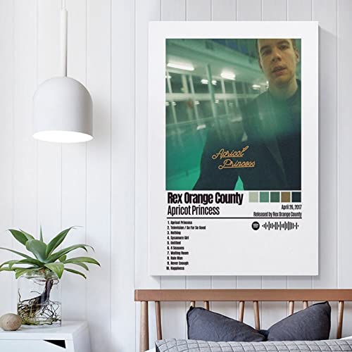 Poster Rex Orange County Apricot Princess idée cadeau fan musique - 4