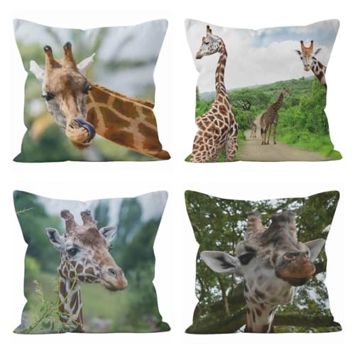 Taie d'oreiller imprimé linge housse coussin extensible 50x50