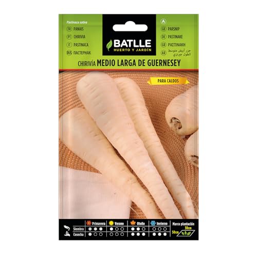 Semences horticoles de Batlle - Panais taille moyenne de Guernesey (10g)