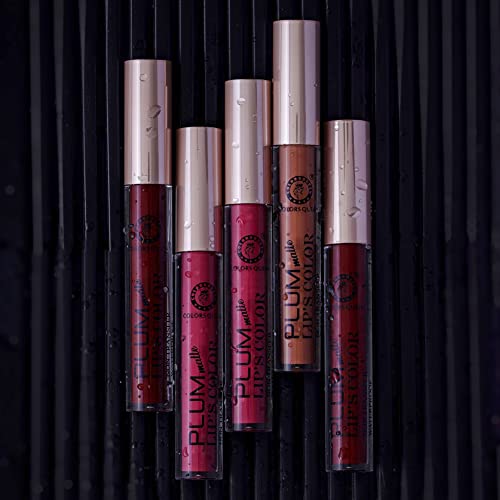 Image of Colors Queen, Plum Matte, Non Transfer, Liquid Matte Lipstick (15 - Blood Red, 7ml)