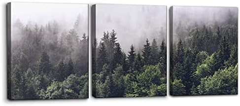 Pacimo Canvas Wall Art Fog Over Pine Tree Forest Nature Wilderness Photography Modern Art Rustic Landscape Relax/Calm Cool for Wall Decor Giclee Artwork Stretch Framed Ready to Hang - 12"x16"x3