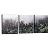 Pacimo Canvas Wall Art Fog Over Pine Tree Forest Nature Wilderness Photography Modern Art Rustic Lan