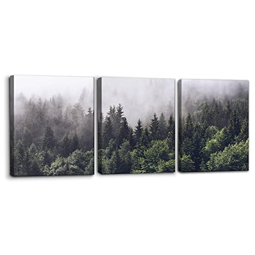 Pacimo Canvas Wall Art Fog Forest