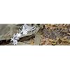 UST Tool-a-Long Multi-Tool Carabiners with Durable, Compact Stainless Steel Construction for Hiking, Kayaking, Camping, Travel and Outdoor Survival
