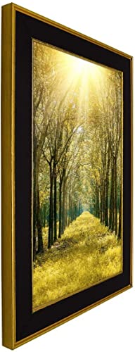 Space Art Deco, 11X17 Classics Gold Design Black Picture Frame - Photo/Picture/Poster Display - Sawtooth Hangers And Wall Mount Shatter-Resistant Grass (11X17, Classic Gold Design) #TOP4