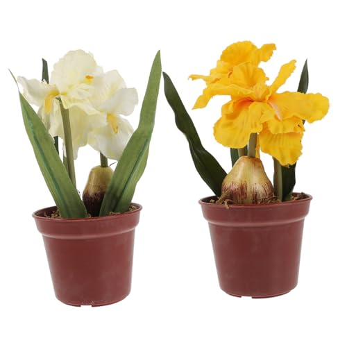 ORFOFE 2Pcs Simulation Potted Plant Decorative Faux Iris Flowers for Office Desk Decor Miniature...