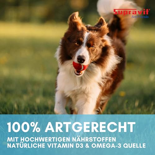 Supravit Nassfutter für Hunde I wohltuendes Hundefutter nass Fisch & Lachs I 12 x 410g Dosen I Hunde Nassfutter getreidefrei & ohne Soja I schmackhafte Delikatesse für den Hund