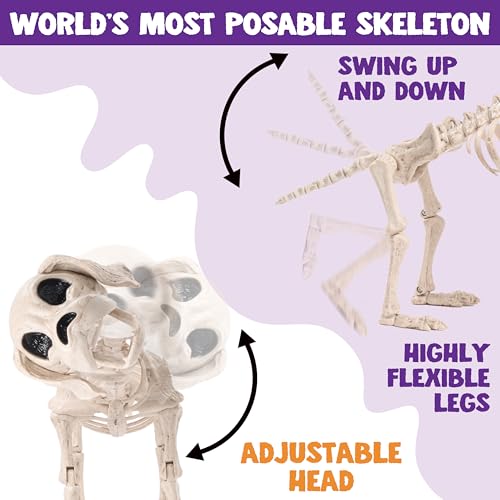 Image of JOYIN Posable Halloween Dog Skeleton Full Body Posable Joints Realistic Skeleton Puppy with Movable Joints for Halloween Decoration, Graveyard Party Decor (9.8 inch X 4.7 inch X 12.6 inch)