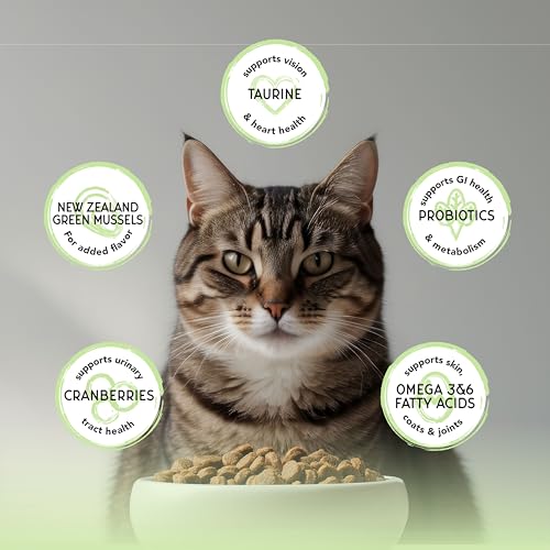 Image of Blackwood Bounty Dry Cat Food, Whitefish & Lentil Recipe for All Life Stages, 10 Pound Bag, High Protein, Grain Free