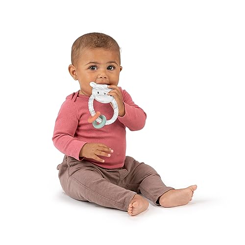 Image of Ingenuity Teethers