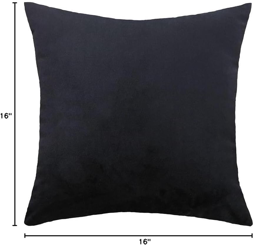 MoonRest - Pack of 2, Velvet Decorative Throw Pillow Filled with Synthetic Down Alternative, Cozy Soft with Hidden Zipper - Solid Color for Sofa Bedroom Couch 16 x 16 Cool Black