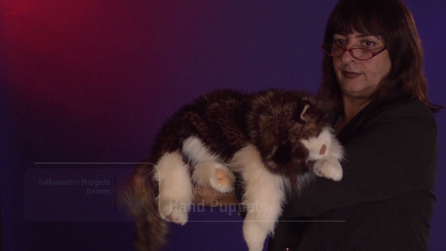 Watch Folkmanis Ragdoll Cat Puppet Demo on Amazon Live