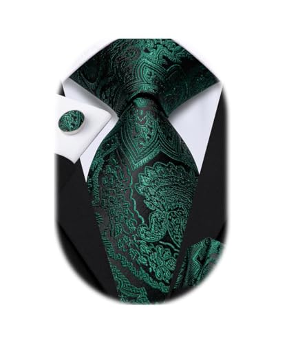 Dubulle Mens Paisely Silk Tie for Men Necktie and Pocket Square Set