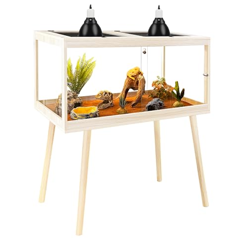 Bearded dragon enclosure