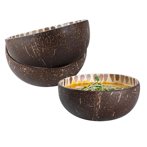 Restaurantware Coco Casa 15.8 Ounce Coconut Bowls, 10 Reusable Handcrafted