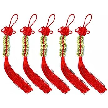 YANGWEN 5 Pieces Chinese Knot Lucky Coins Feng Shui Coins I-Ching Lucky Coin for Good Luck and Healthy