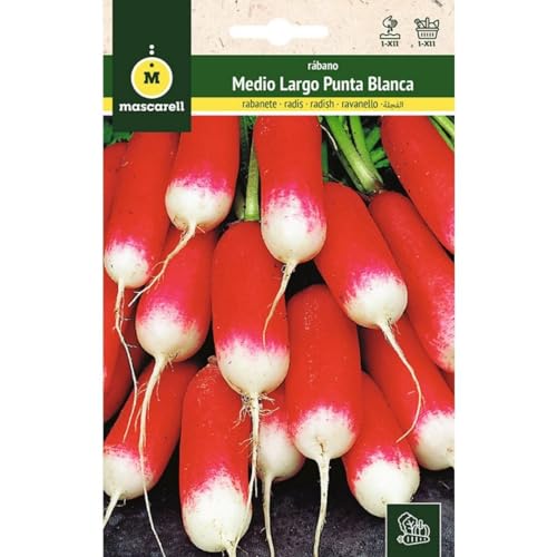 Mascarell Semillas, RÁBANO, Semillas Huerto, RABANITO MEDIO LARGO PUNTA BLANCA, Crea tu Propio Huerto Urbano y Cultivo en Casa, Plantas Hortícolas, 14 Gramos