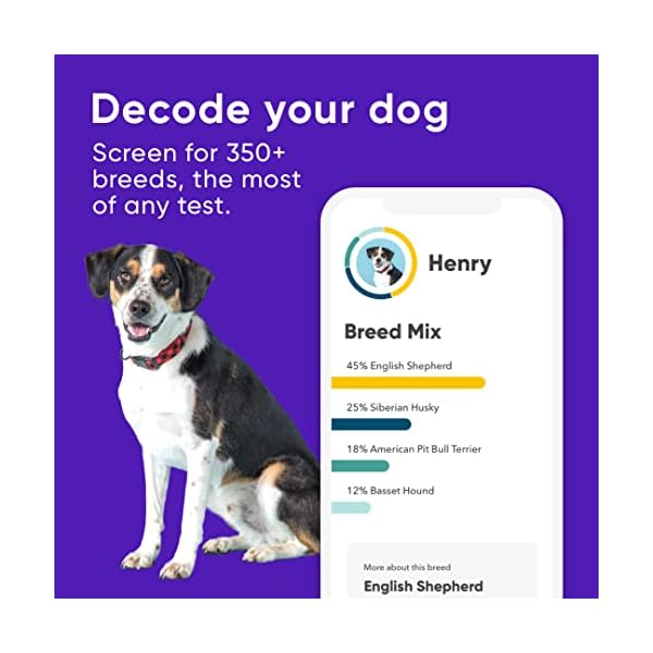 Embark Breed Identification Kit Most Accurate Dog DNA Test Test 350