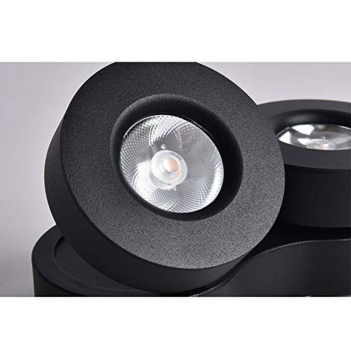 Downlights de techo empotrables dobles 12W para iluminación interior 4