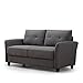 ZINUS Ricardo Loveseat Sofa Tufted Cushions, Easy, Tool-Free Assembly, Dark Grey