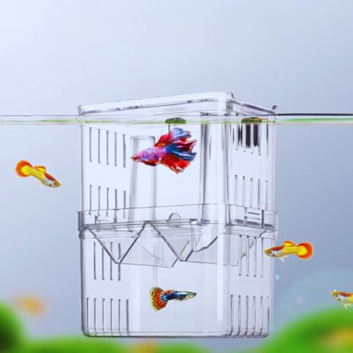 VAYINATO Aquarium Guppy Double Deck Breeding Box with Suction Cups – Large 13x10x7cm | Transparent Isolation & Breeding Tank for Fish, Fry & Betta | Sturdy, Safe & Easy to Use