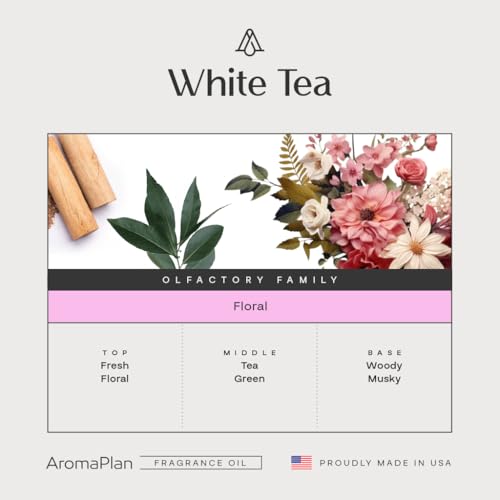 Aceite Difusor AromaPlan White Tea 148ml miniatura 2