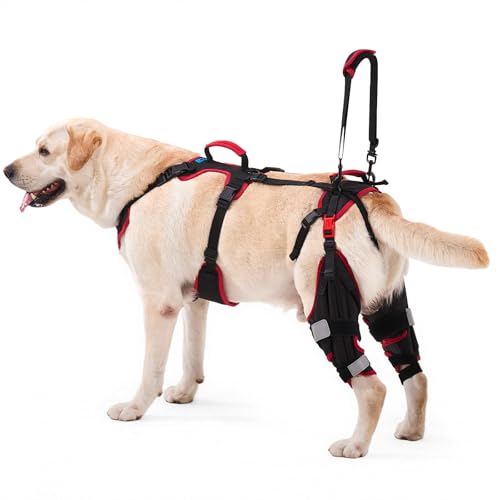 Lafoty Dog ACL CCL Knee Brace for Large Dogs, Set of 2 Hind Leg Braces with Handles & Shoulder Strap...