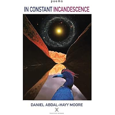 In Constant Incandescence / Poems