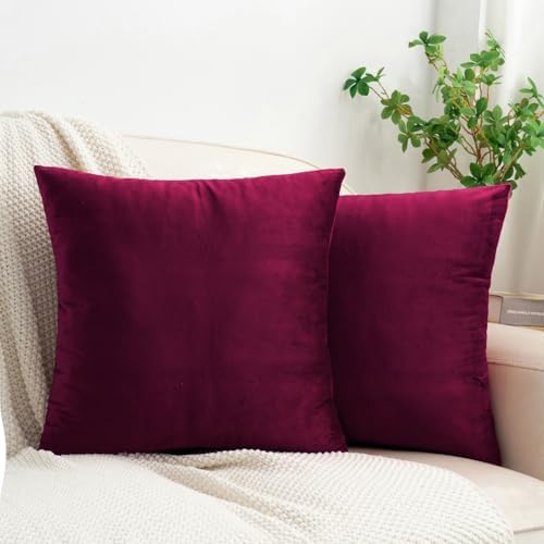 Amazon.com: HWY 50 Wine Red Velvet Throw Pillow Covers 18x18 Inch, Pack ...