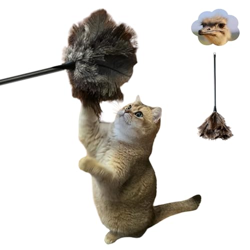 Urnat Genuine Ostrich Feather Cat Teaser Wand, Fluffy Natural Interactive Toys for Indoor Kittens to Chase Exercise Play (Natural,Small (15.7in))