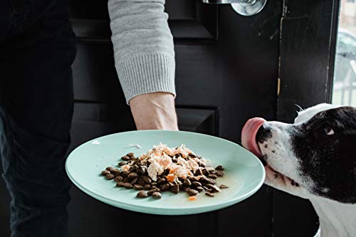 Image of Nulo Freestyle Puppy & Dog Wet Dog Food Topper, Premium All Natural Grain-Free, Real Meat Dog Food Topper with High Animal-Based Protein and Only 5 or Less Ingredients with No Additives