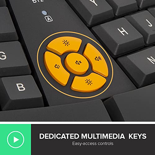 Delux Wireless Ergonomic Keyboard - Ergo Split Keyboard With Palm Rest For Natural Typing, 2.4G And Bluetooth, Full-Size, Us Layout - Compatible With Windows And Mac Os (Gm905, Graphite) #TOP4