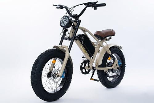CAYBLKE 750W Peak Power Electric Bike for Adults, 25 MPH