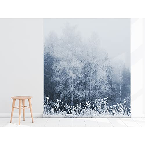Papier peint muralo Coloray pour masquer les défauts des murs - 5
