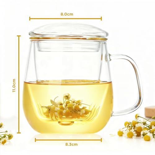 Image of Glass Tea Cup with Infuser & Lid | Heat Resistant, Thick Clear Borosilicate Glass Tea Infuser Mug for Loose Leaf Tea | Perfect for Corporate Gifting or Birthdays | 420ml