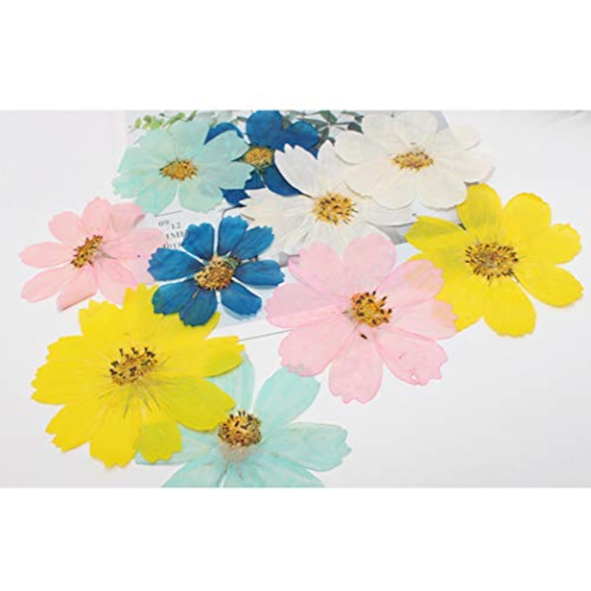36PCS Pressed Flower Scrapbooking Supplies